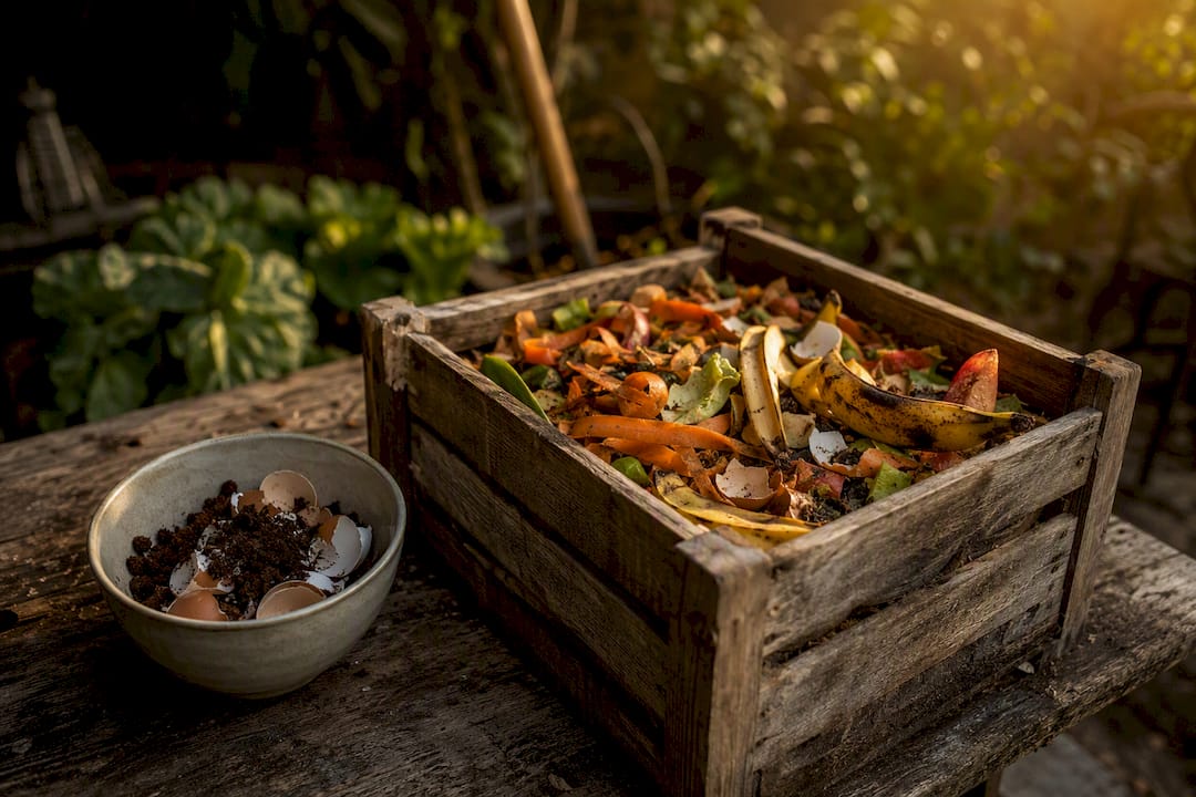Compost bin with fruit and vegetable scraps