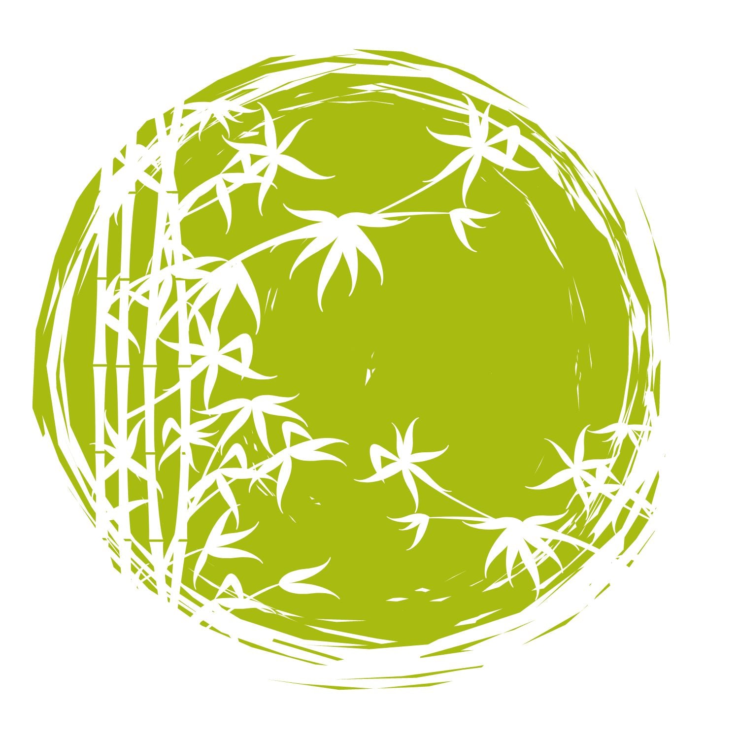 Everything You Need to Know About Bamboo Paper Towels