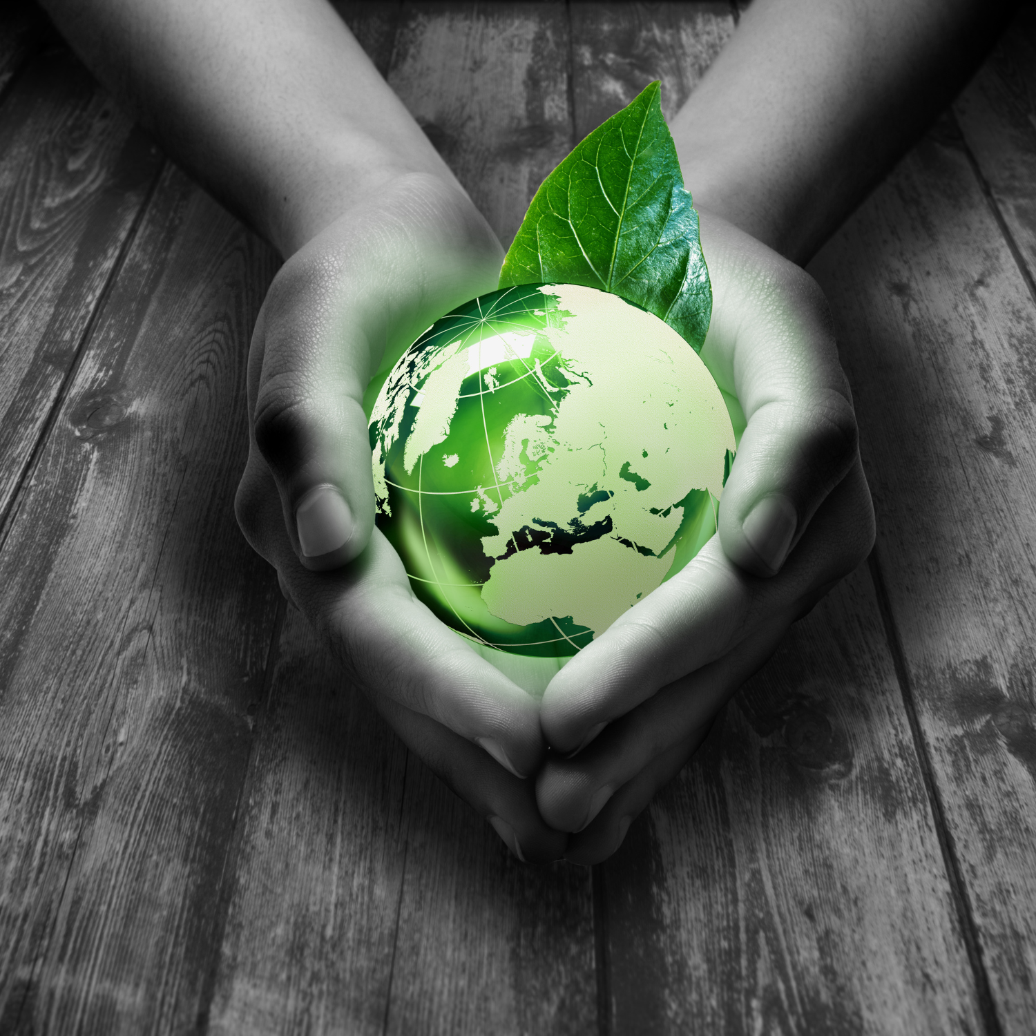 Why Choose Bamboo Products?