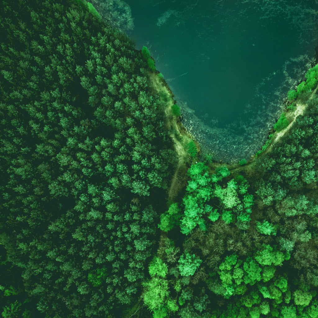 Shop Top Bamboo Products for Home and Commercial